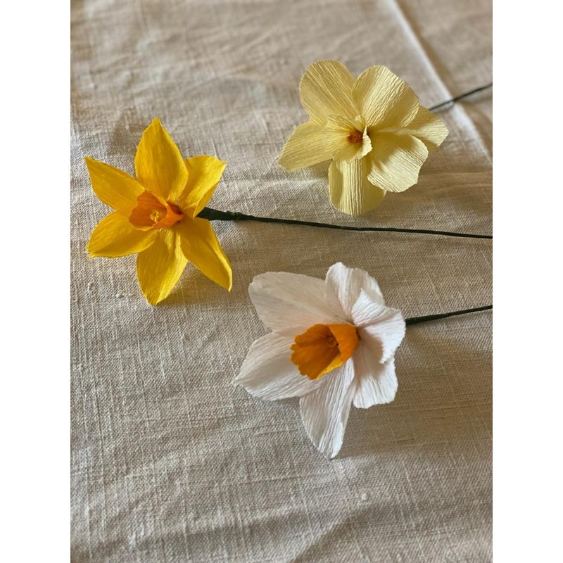 Yellow Paper Daffodil