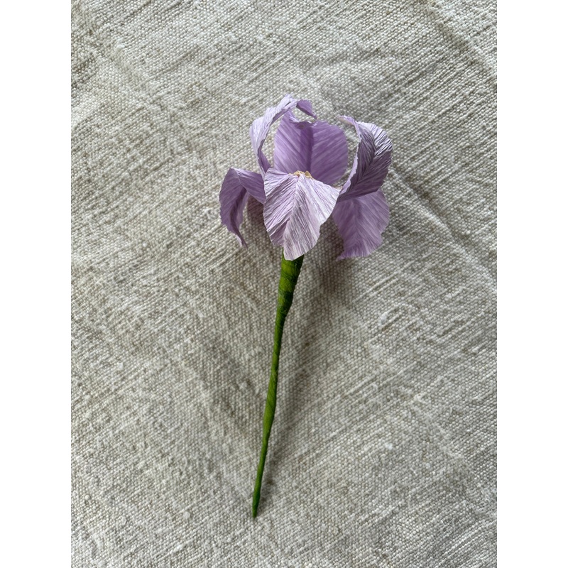 Miniature Paper Iris