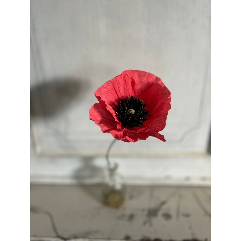 Paper Poppy