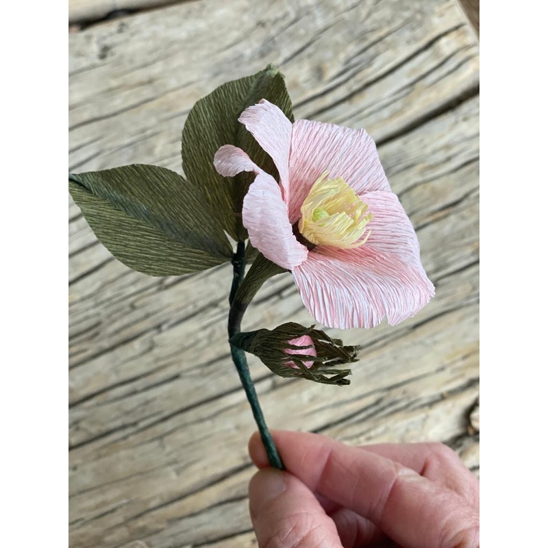 Paper Queen Elizabeth Rose