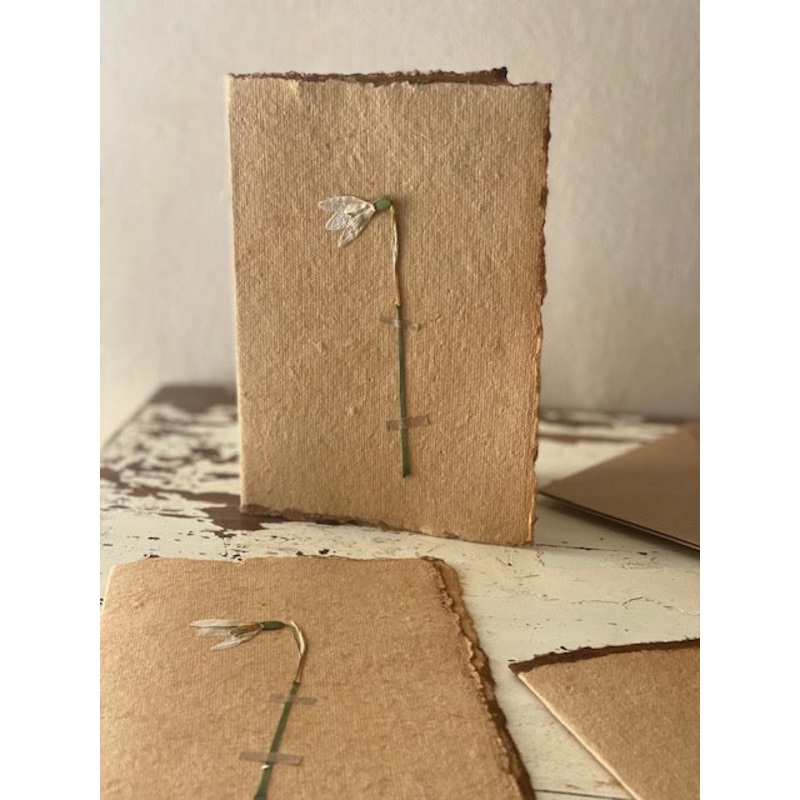 Snowdrop Card-Snowdrop-approx 11cms wide x 16cms long-handmade rag paper