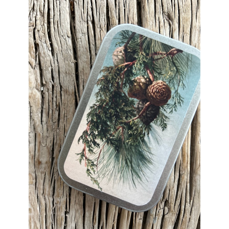 Tin of Pastilles-Winter bough-6 x 9.5cms