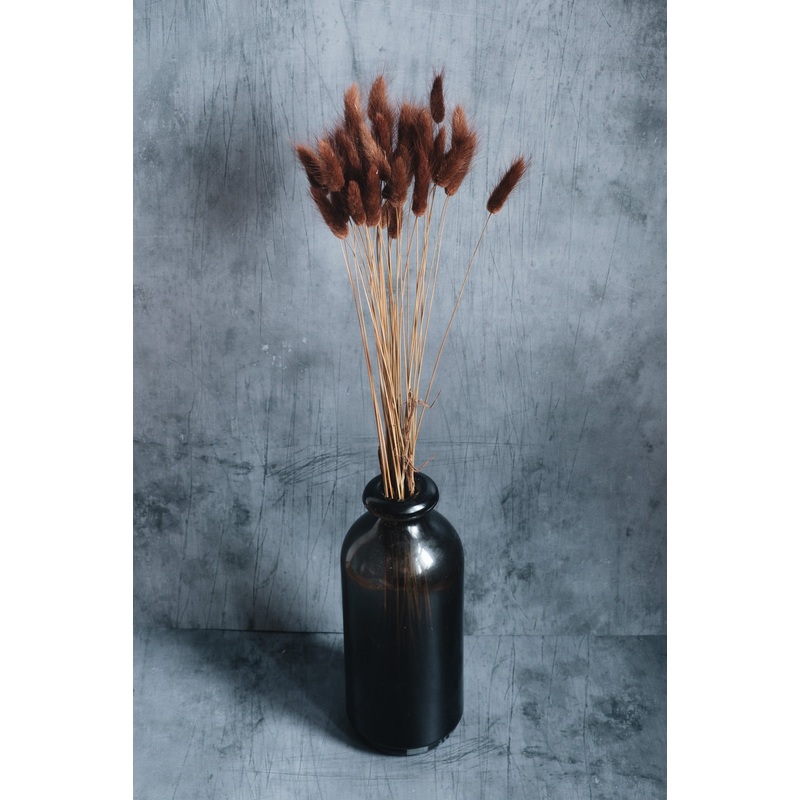 Dried Bunny Tails – Chocolate (Lagurus)