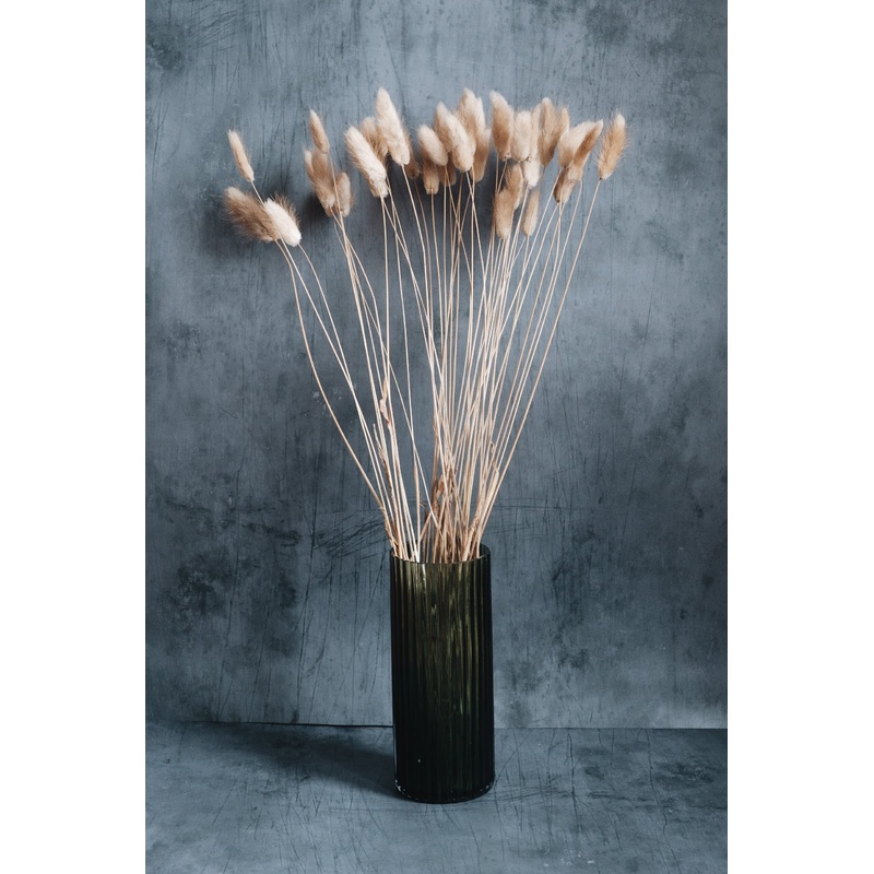 Dried Bunny Tails – Natural x40 (Lagurus)