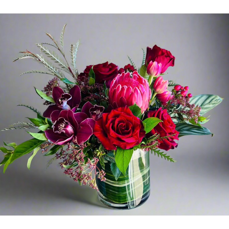 Jungle Love-Impressive and Beautiful