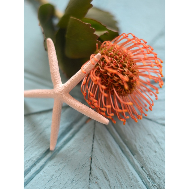 You Know What I Like – Designer Choice