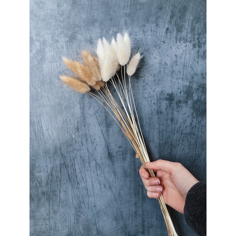 Bunny tails – mixed natural & white