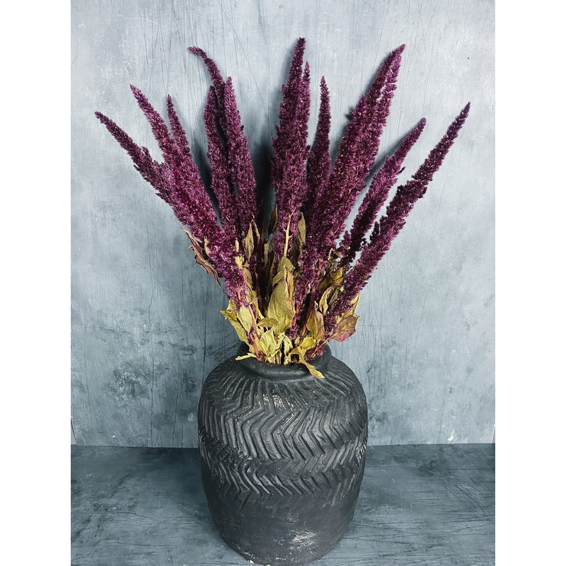 Dried Amaranthus – Natural Red