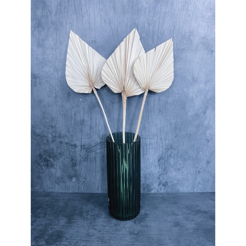 Dried Palm Spears – White-3 & 5