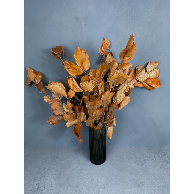 Preserved beech – natural orange