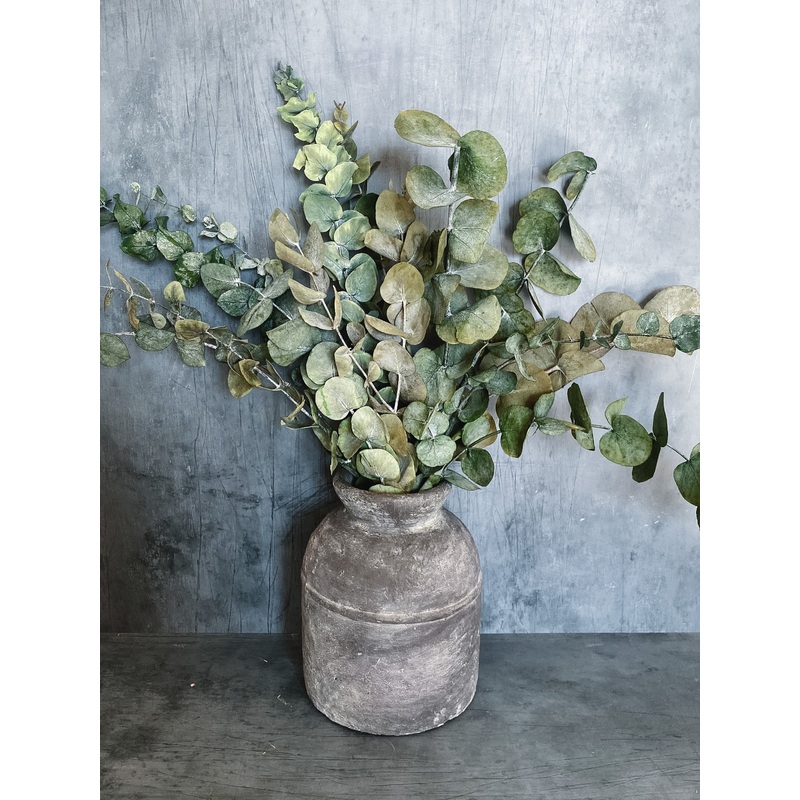 Preserved eucalyptus bunch *seconds*