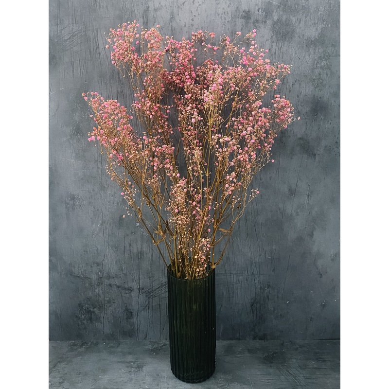 Preserved pink gypsophila bunch