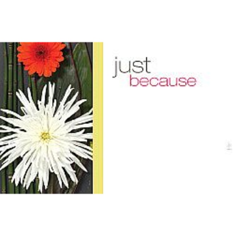 AC3309 (14734) – Capri Card – Just Because, Mums