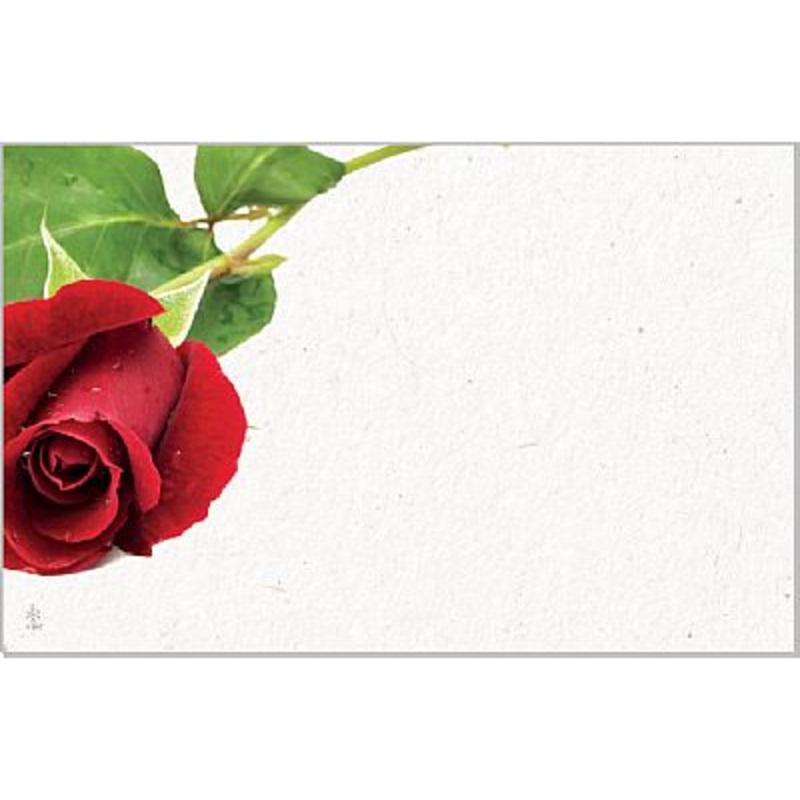 AC4890 (25191) – Capri Card – One Rose