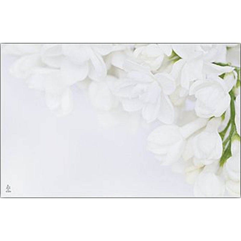 AC4936 (25398) – Capri Card – No Sentiment