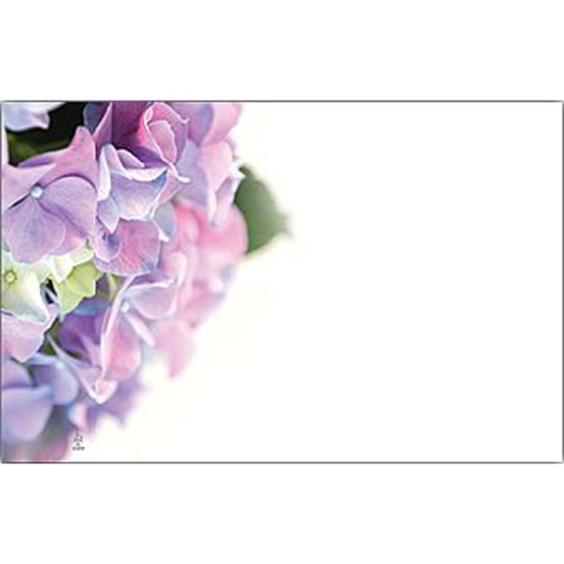 AC4939 (26558) – Capri Card – No Sentiment, Hydrangea