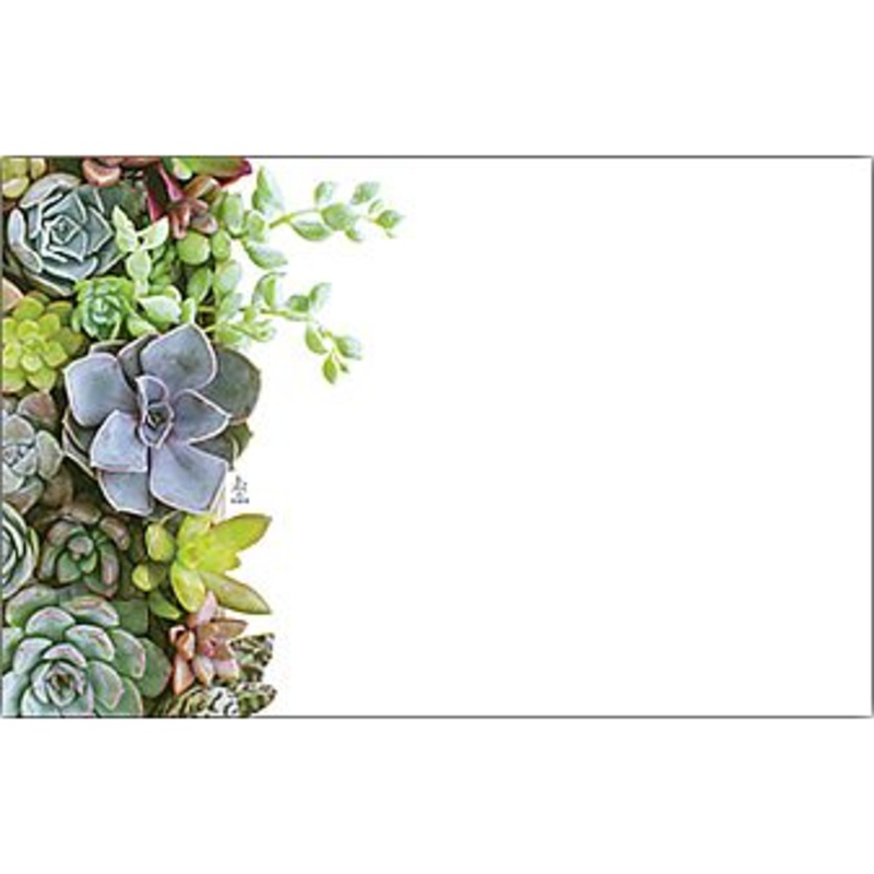 AC4940 (25399) – Capri Card – No Sentiment