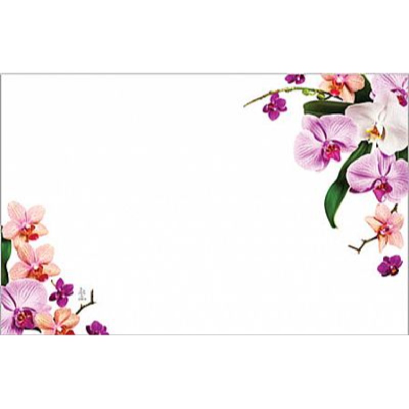 AC4970 (26526) – Capri Card – No Sentiment, Orchids