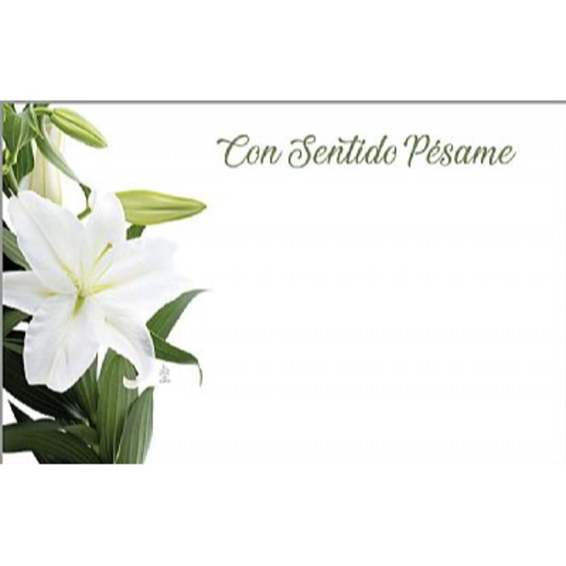 AZ5989 (30589) – Capri Card – Spanish Sympathy