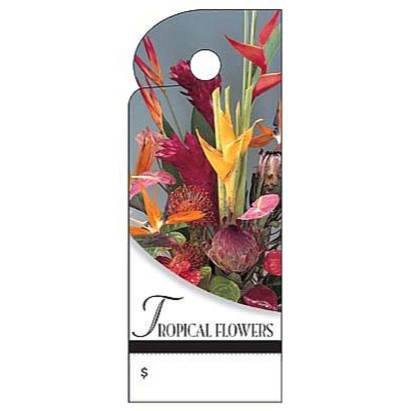 BB2394 (11222) – Care Tag, Tropical Flowers 100/Pk