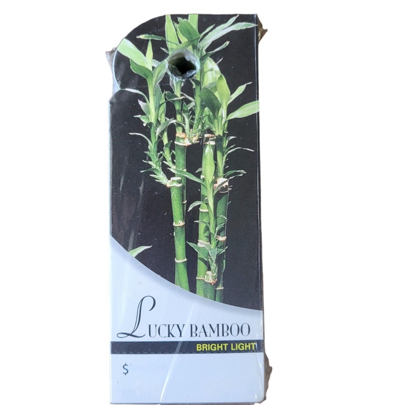 BB2395 (11236) – Care Tag, Lucky Bamboo 100/Pk