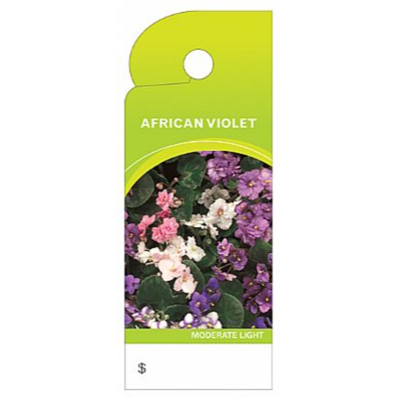 BB4351 (11225) – Care Tag, African Violet 100/Pk