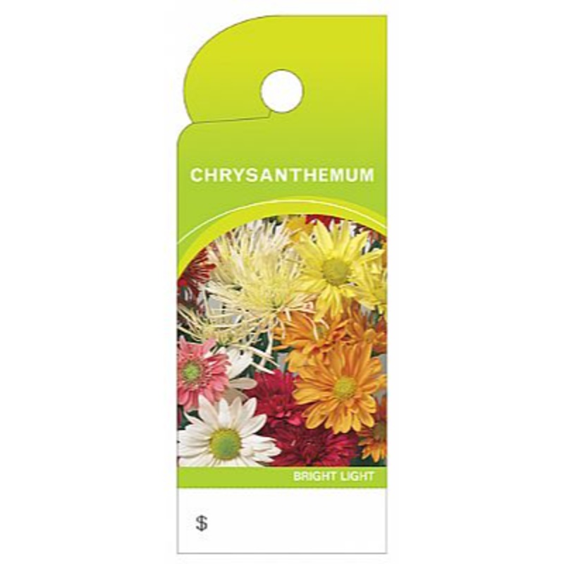 BB4354 (11217) – Care Tag, Chrysanthemum 100/Pk