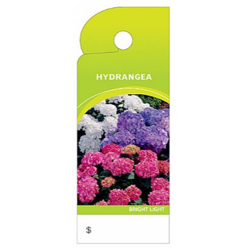 BB4356 (11226) – Care Tag, Hydrangea 100/Pk