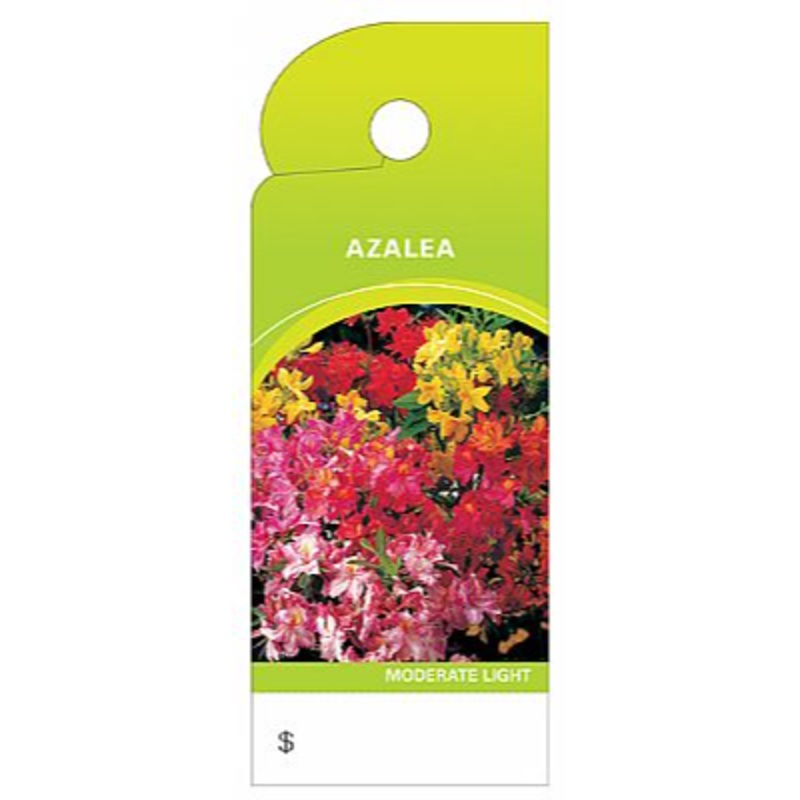 BB4358 (13956) – Care Tag Azalea 100/Pk Design 2