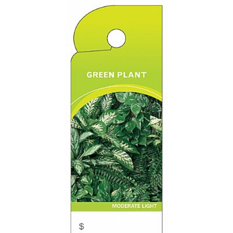 BB4360 (13958) – Care Tag Green Plant 100/Pk Design 2