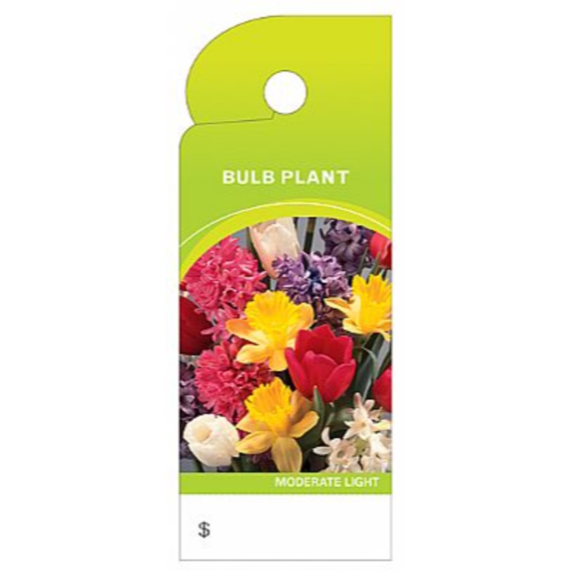 BB4362 (19032) – Care Tag Bulb Plant 100/Pk