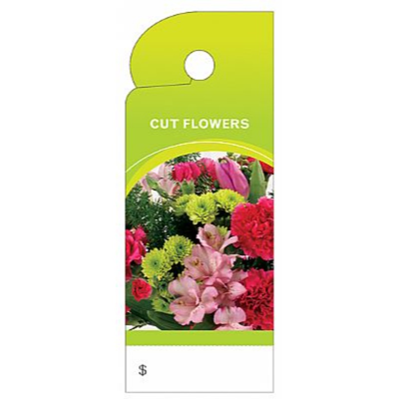 BB4370 (18638) – Care Tag Cut Flowers 100/pk