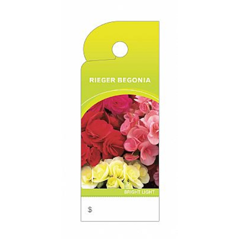 BB4377 (16688) – Care Tag Rieger Begonia 100/Pk