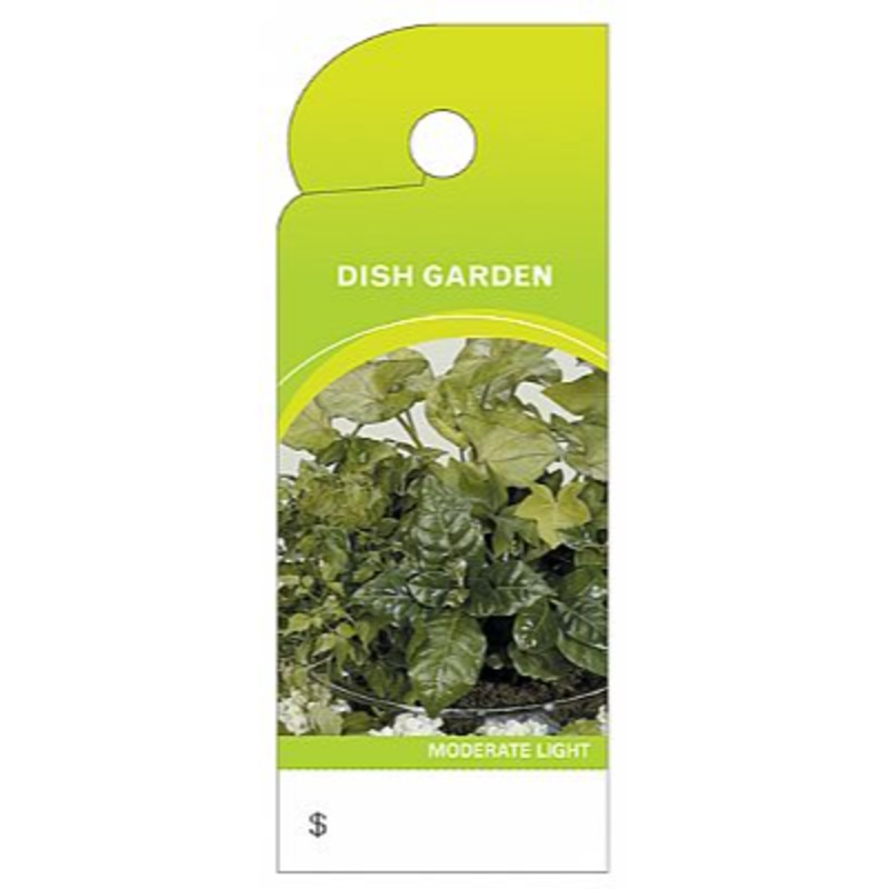 BB4381 (11233) – Care Tag, Dish Garden 100/Pk
