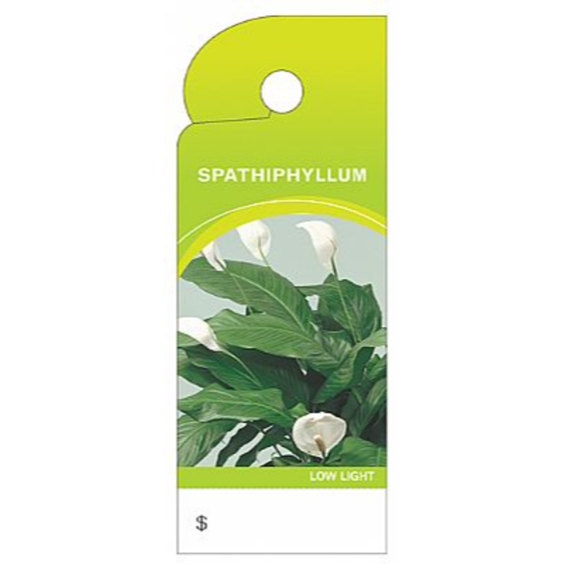 BB4384 (13960) – Care Tag Spathiphyllum 100/Pk Design 2