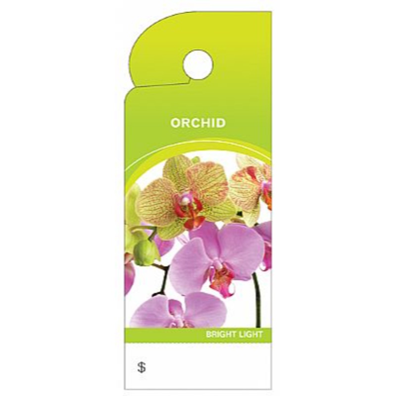 BB4389 (21057) – Care Tag Orchid 100/Pk