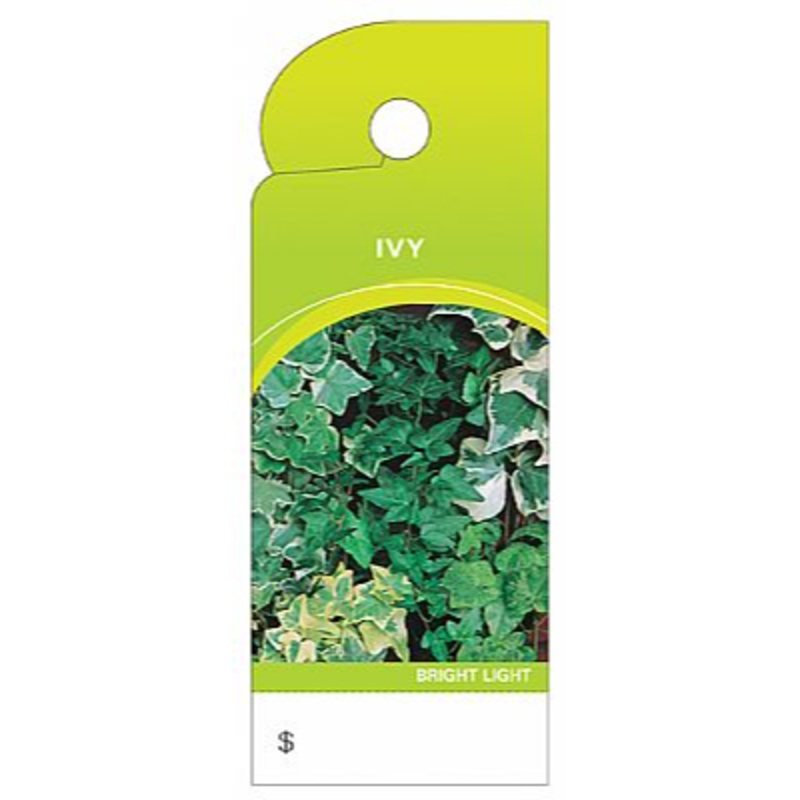 BB4397 (13959) – Care Tag Ivy 100/Pk Design 2