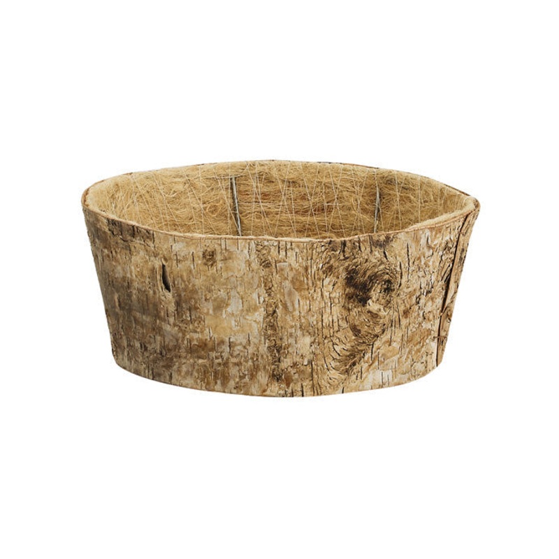 65099 (28759) – 8.5 Birch Dish Garden, 8.5 x 3.5