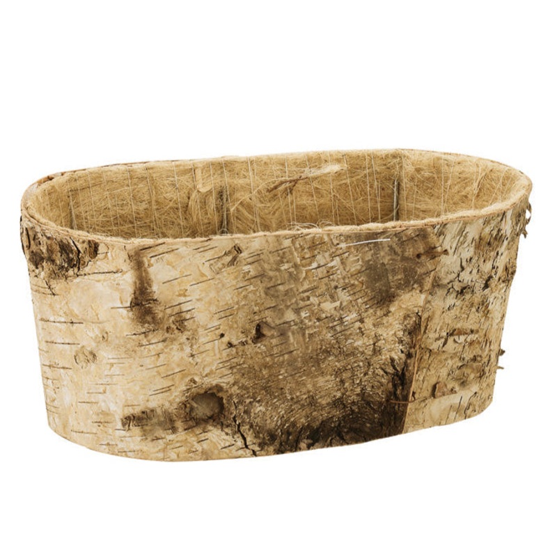 65101 (23392) – 2×4 Birch Double Bloomer, 4 x 9.5 x 5.25