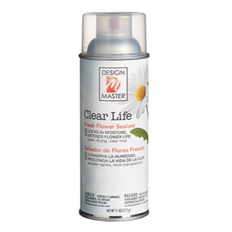 660+ (10833) – Paint, Clear Life