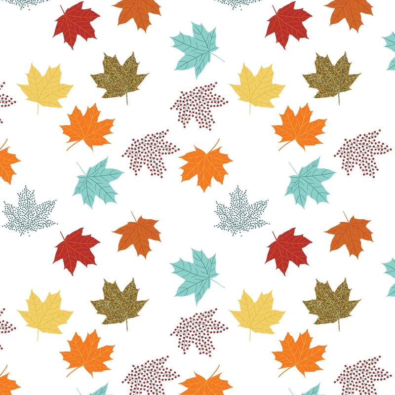 HELLO AUTUMN (27552) – Cellane – 24 x 100′ – Hello Autumn