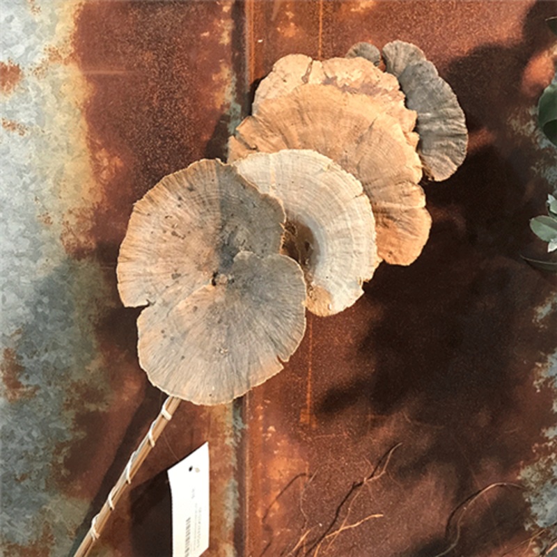 13201801 (2618) – Sponge Mushroom On Stem 6Pc