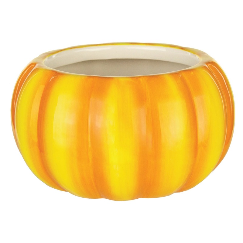 7412-00-1146 (27221) – Pumpkin Container Harvest 5