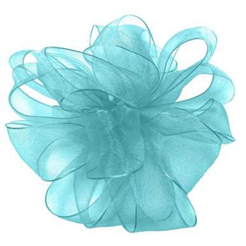 296965 (26804) – Encore W #9 X 25Yds Mint