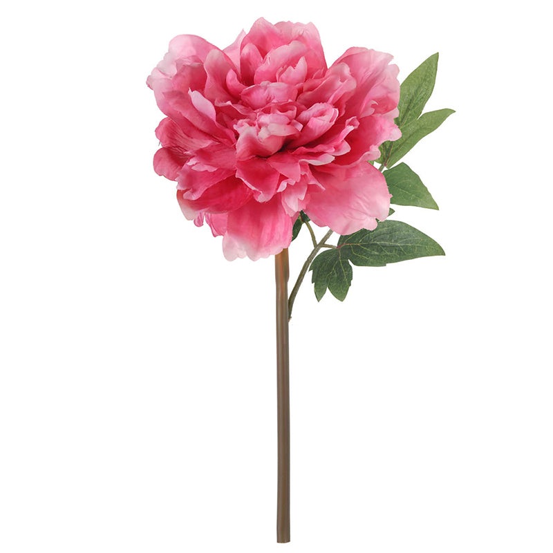 59997-DPIN (20088) – Peony 14 Dark Pink