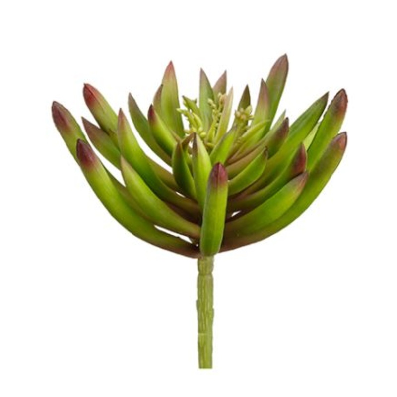 CA1019-GR/BU (23428) – Soft Plastic Spike Aeonium 6 Gr/Bu