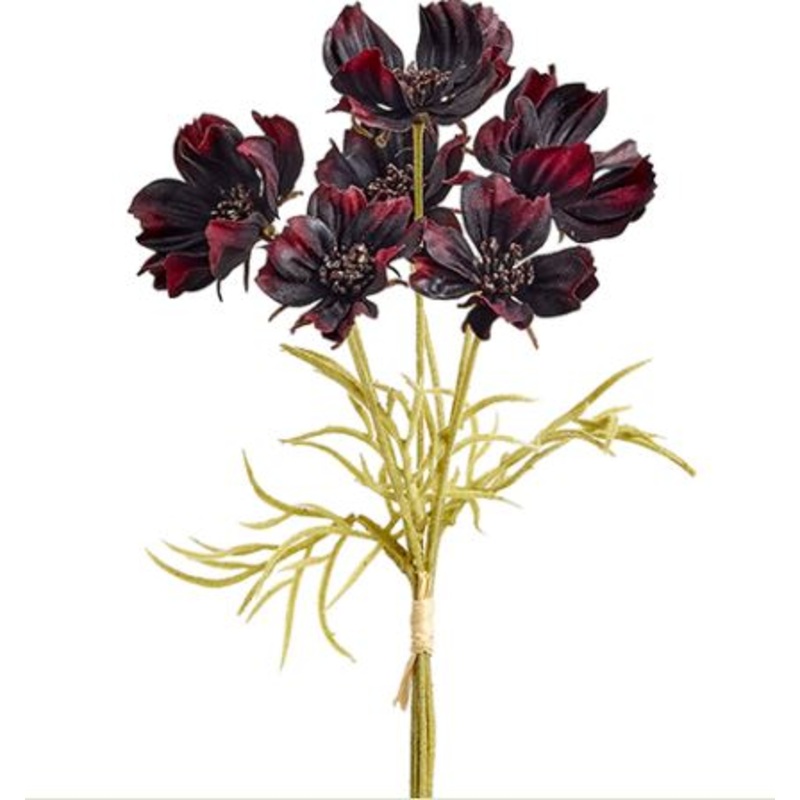 FBQ912-CX (26265) – Cosmos Bundle X6 10 Chocolate