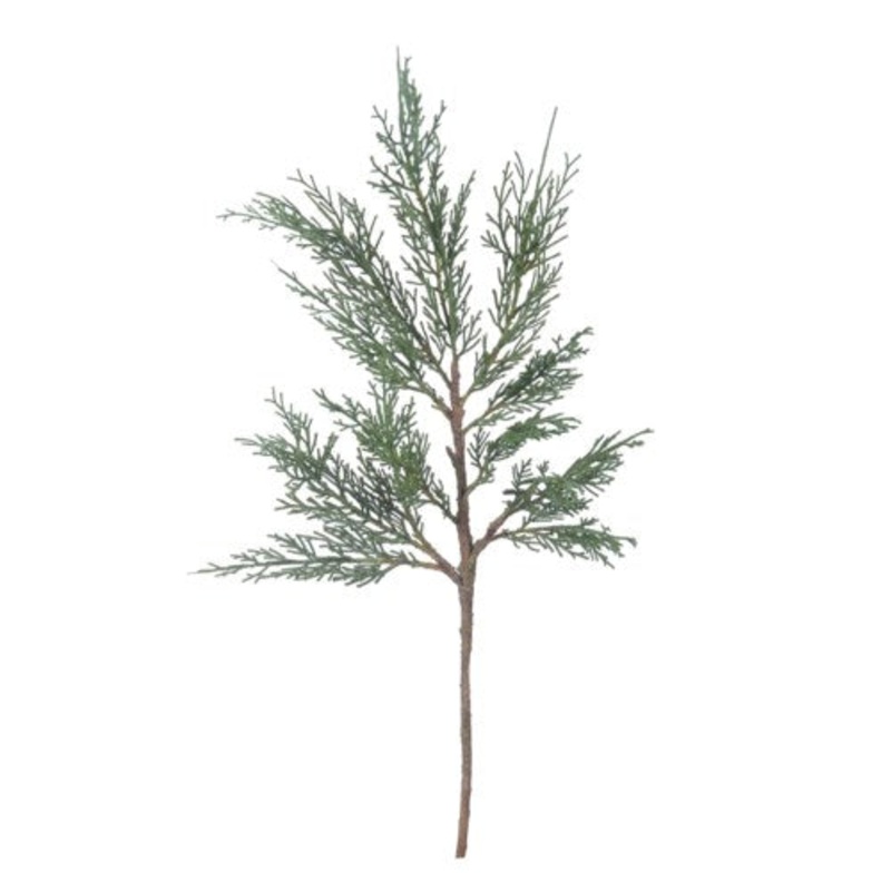 GL62819N.DG (24190) – California Cedar