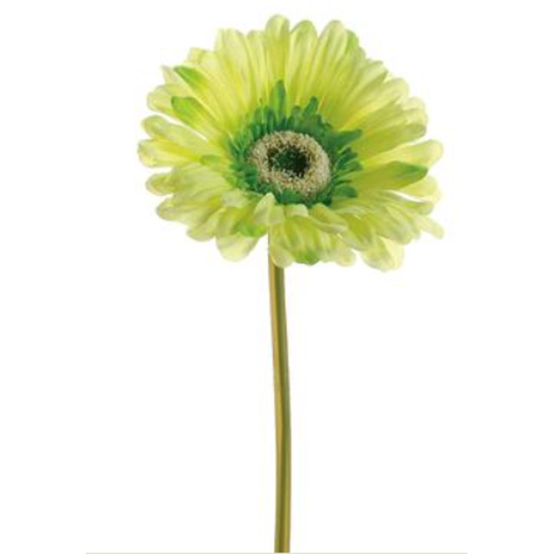GTD445-GR/SO (27961) – Gerbera Daisy Stem Large 9 Green