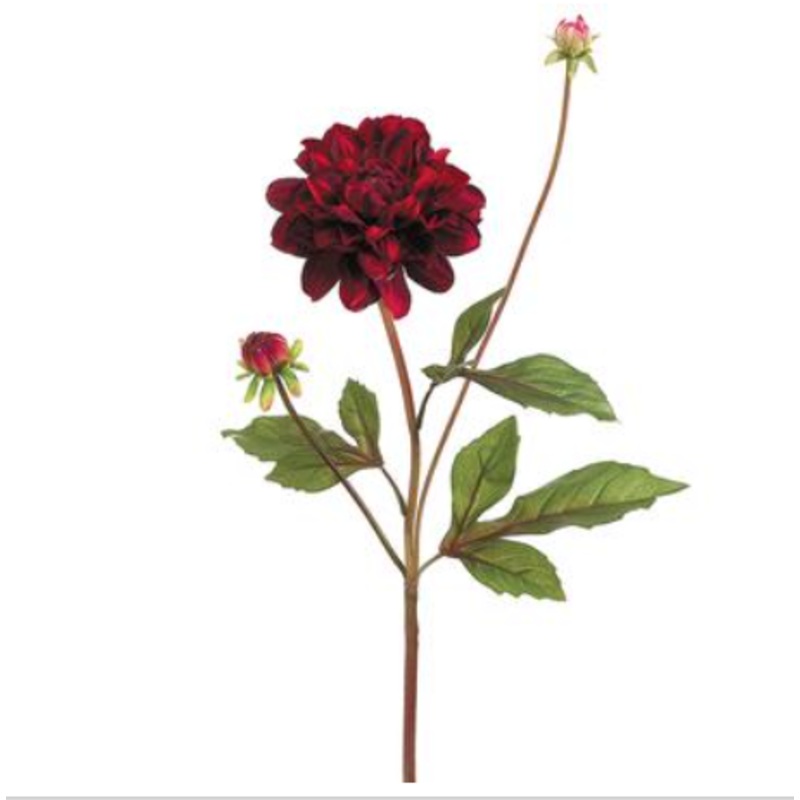 HSD613-BU (30273) – Garden Dahlia Spray 26 Burgundy